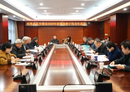 民革武汉市委会召开2025年度领导班子民主生活会